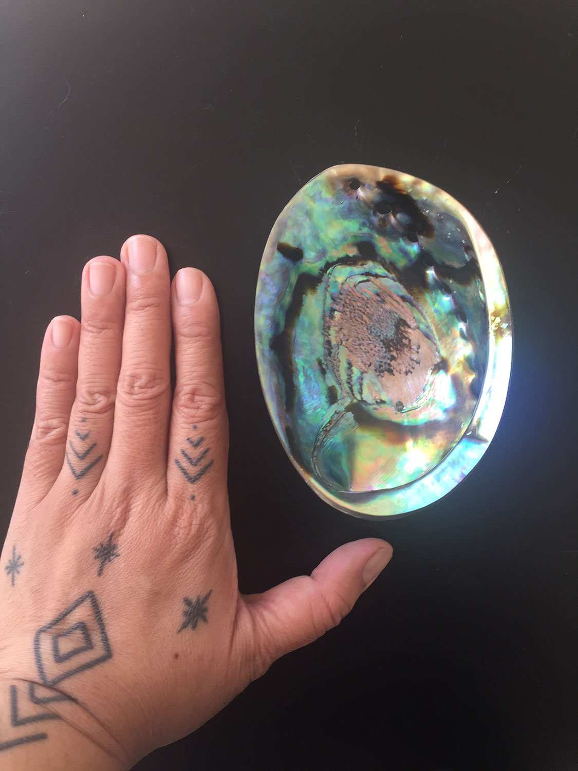 Opal Abalone Shell 01c Metaphysical Vibes Crystal Shop